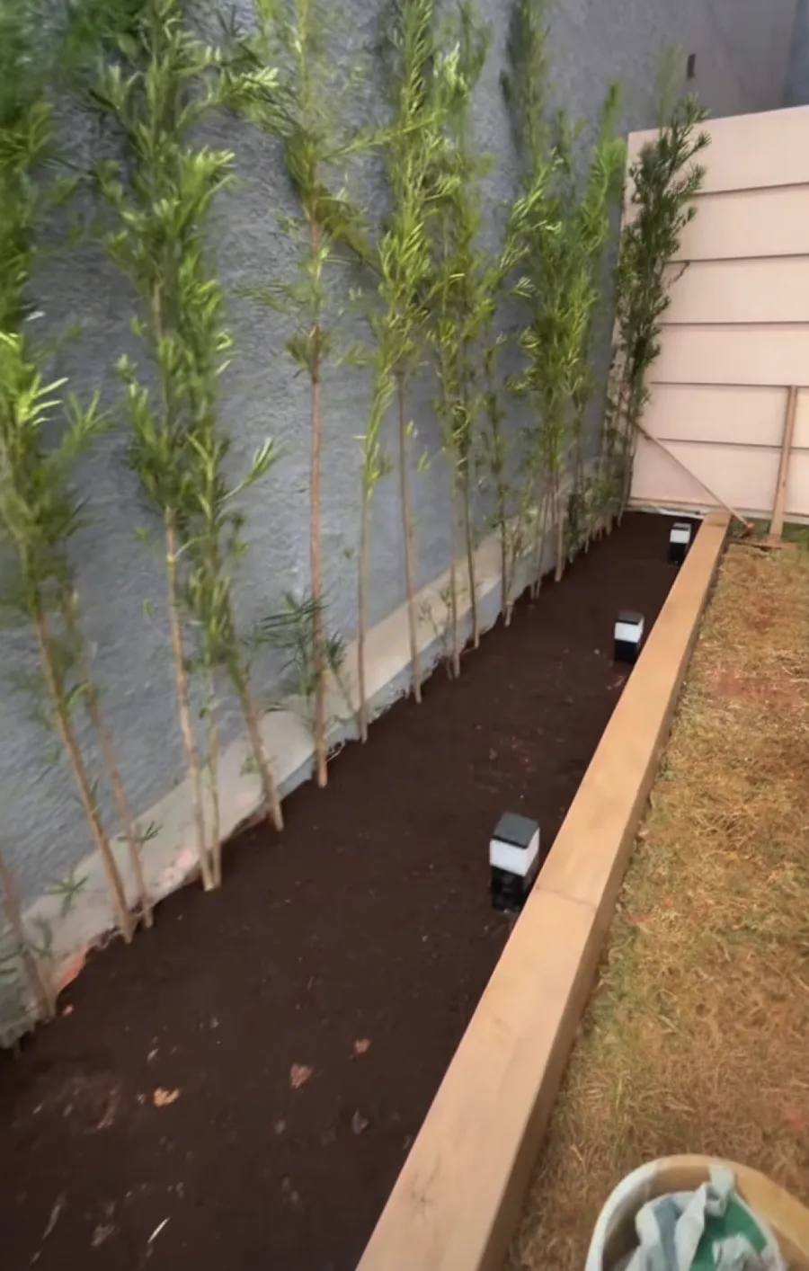 Durante: canteiro com terra escura, bambus junto ao muro e bordadura de madeira com luminárias