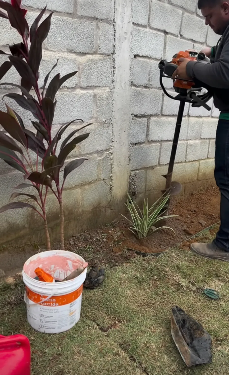 Durante: colaborador abrindo covas com perfurador junto ao muro de blocos, com a primeira cordyline plantada