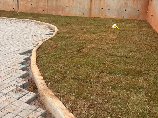 Grama recém-plantada junto a um muro de arrimo, com calçada de bloquete em curva