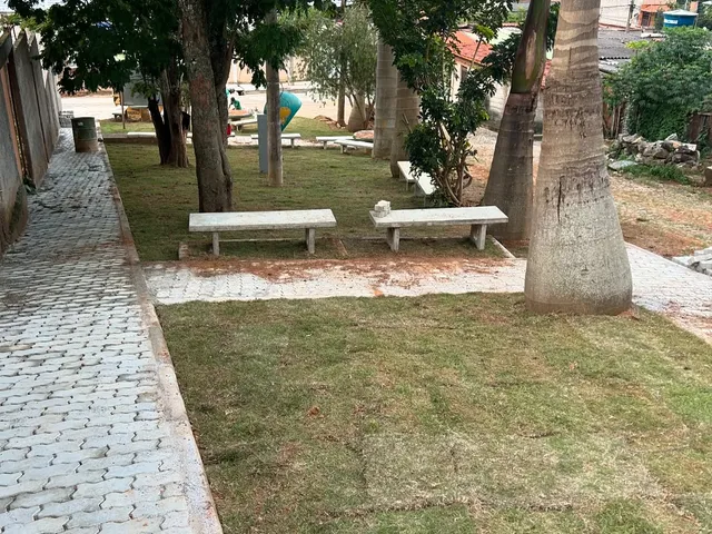 Praça com grama nova, bancos de concreto, palmeiras e caminho de bloquete